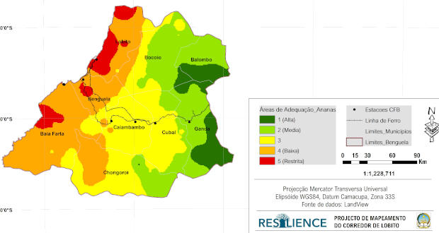 Mapa de produtividade de ananás